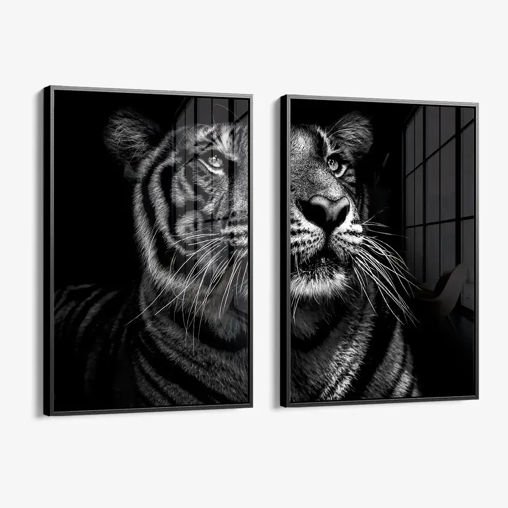 Bundle: "B&W Tiger" (2x) – Verre