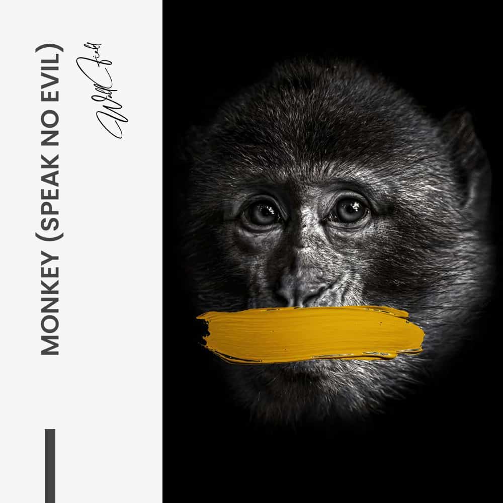 Bundle: “3 Wise Monkeys” (3x) - Verre
