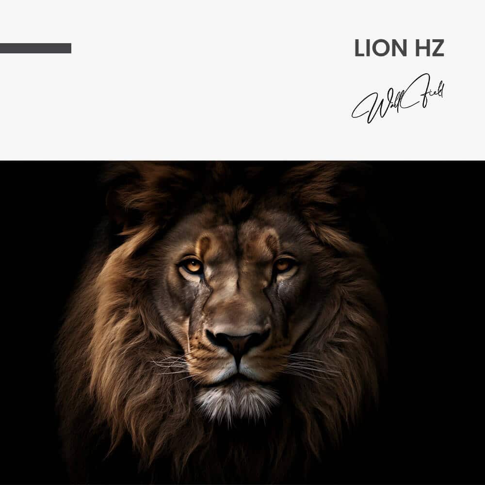 Lion HZ – Verre