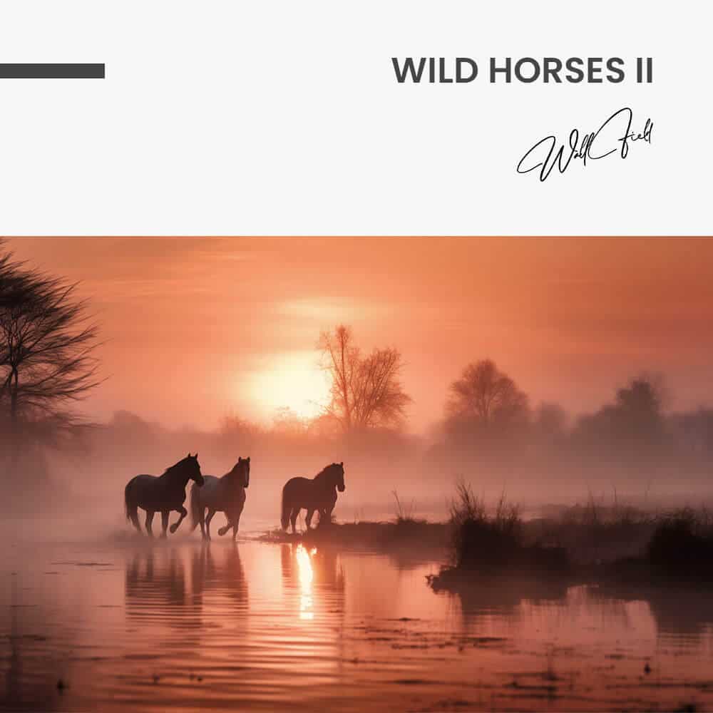 "Wild Horses II"