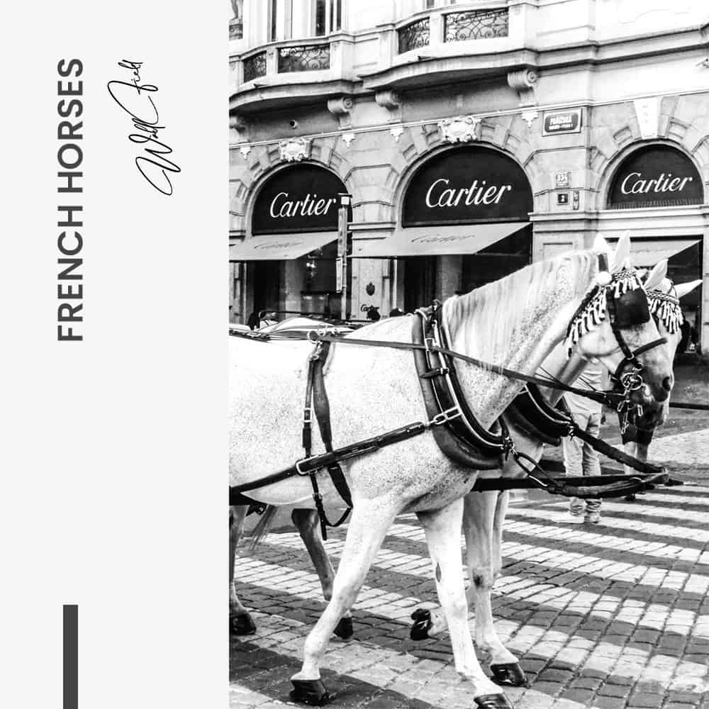 French Horses – Verre