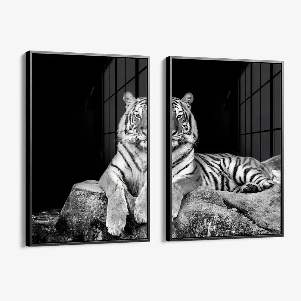 Bundle: "White Tiger" (2x) – Verre