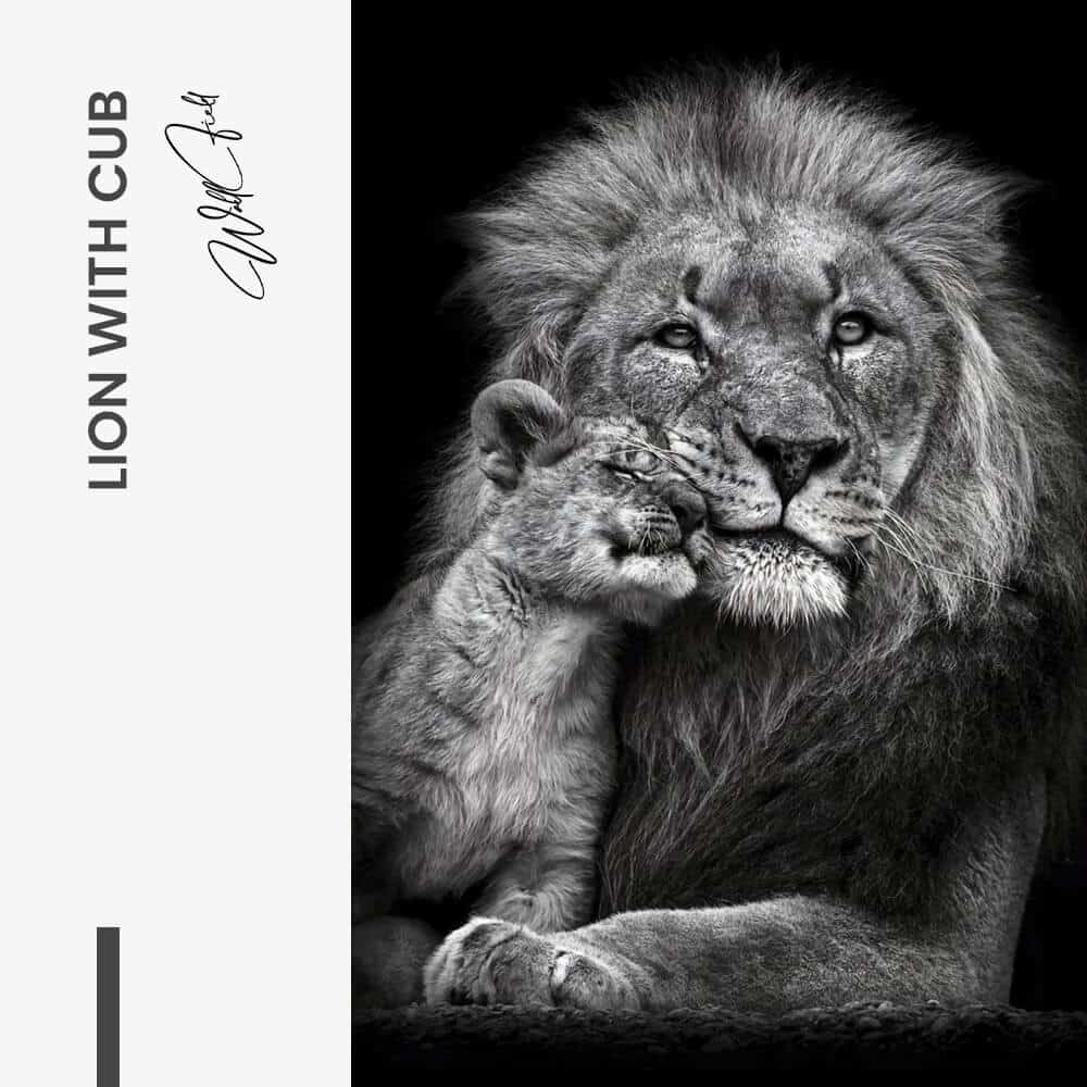 Lion With Cub - Verre