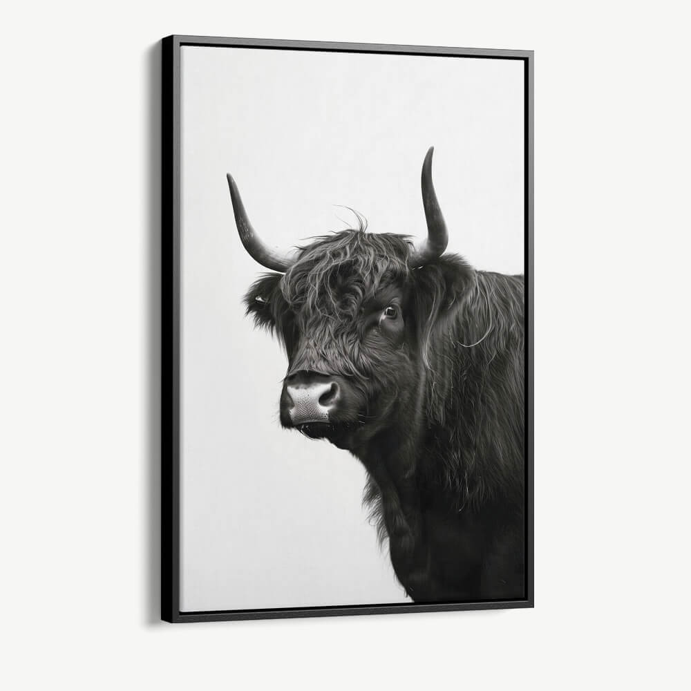 "B&W Muscox II"