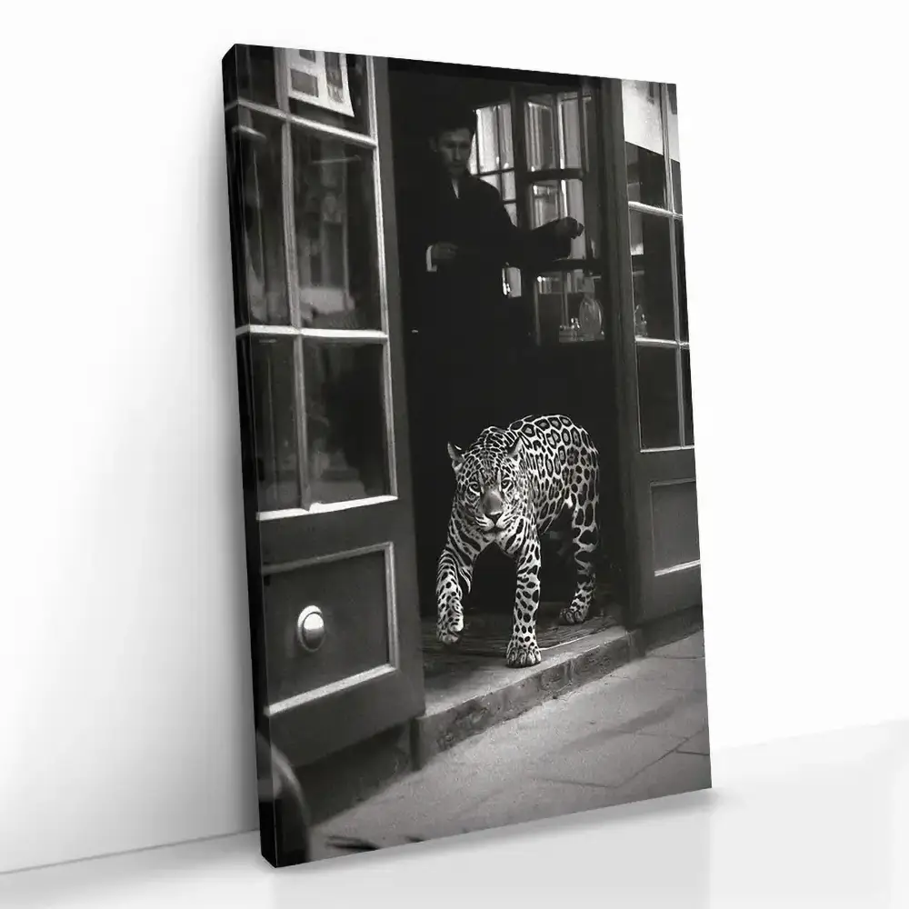 "Urban Prowl"