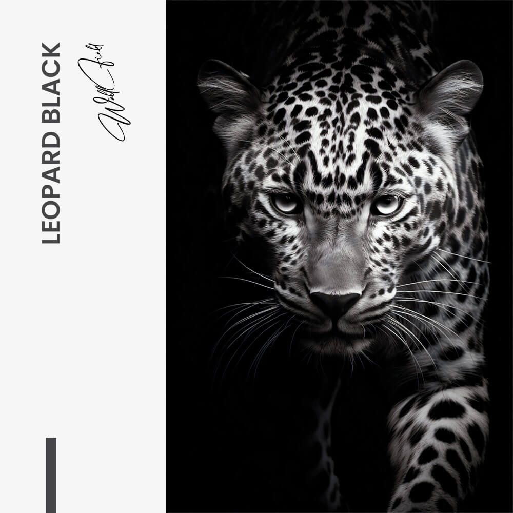 “Leopard Black II”