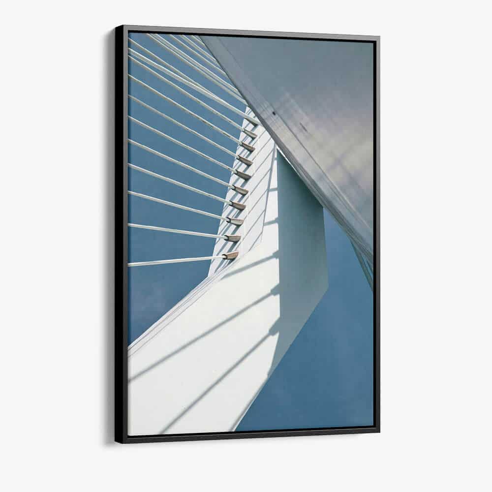 "Erasmusbrug"