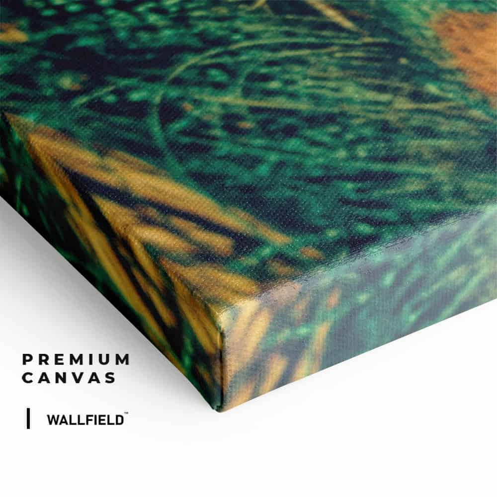 "Peacock Feathers"