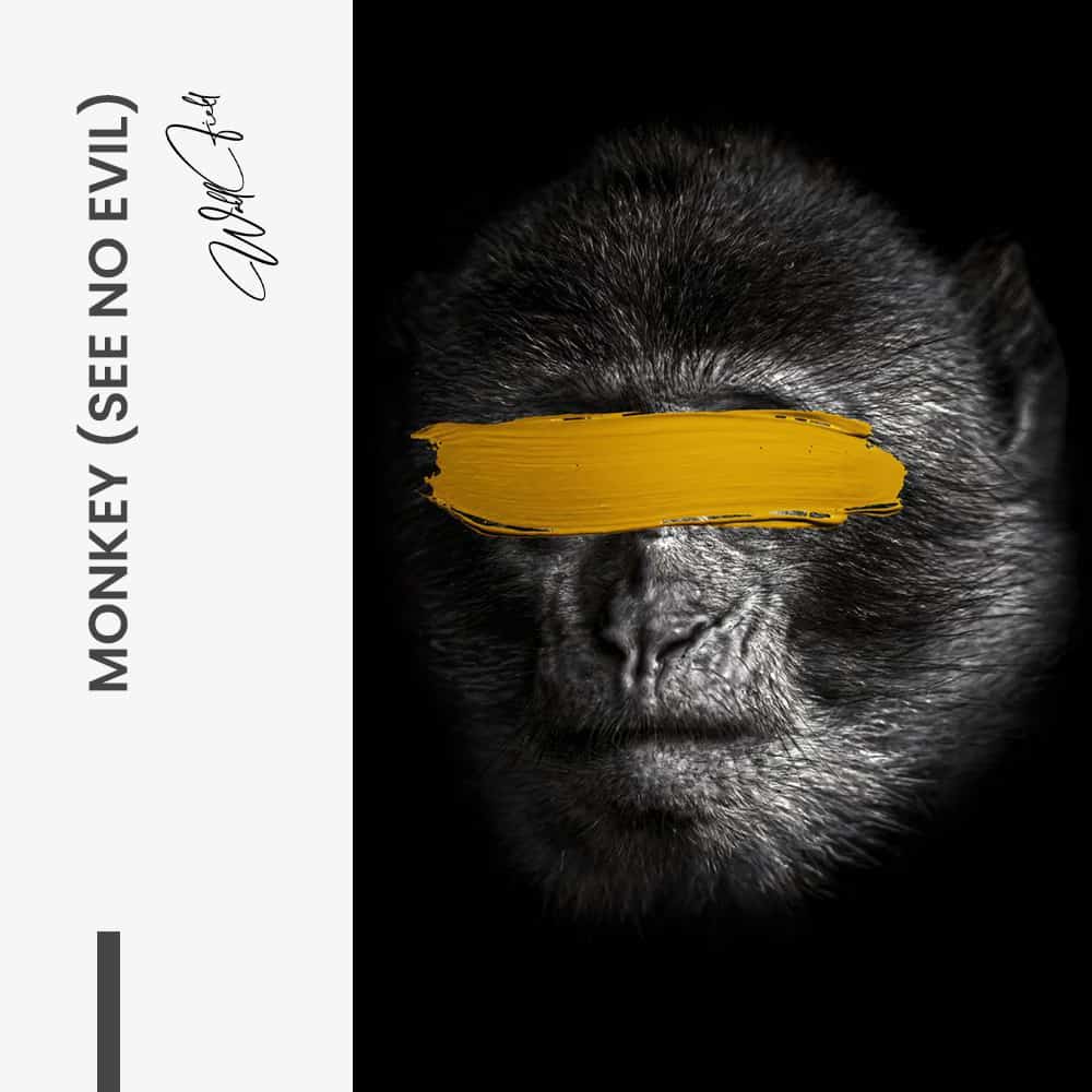 Bundle: “3 Wise Monkeys” (3x) - Verre