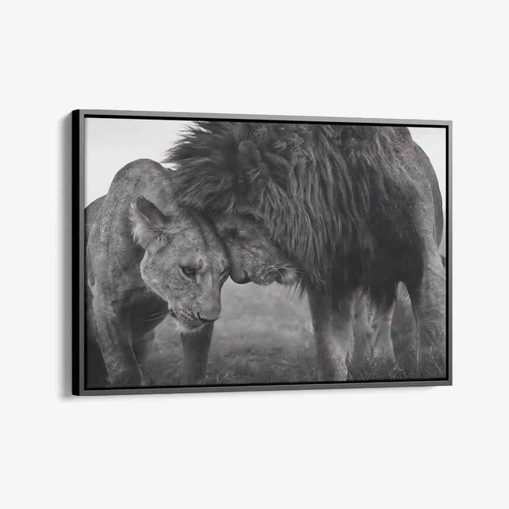 “Loving Lion”