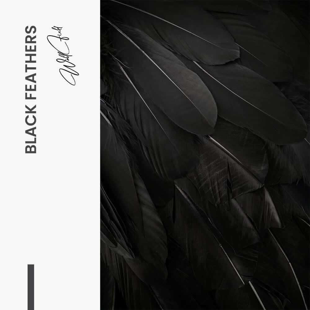 "Black Feathers"