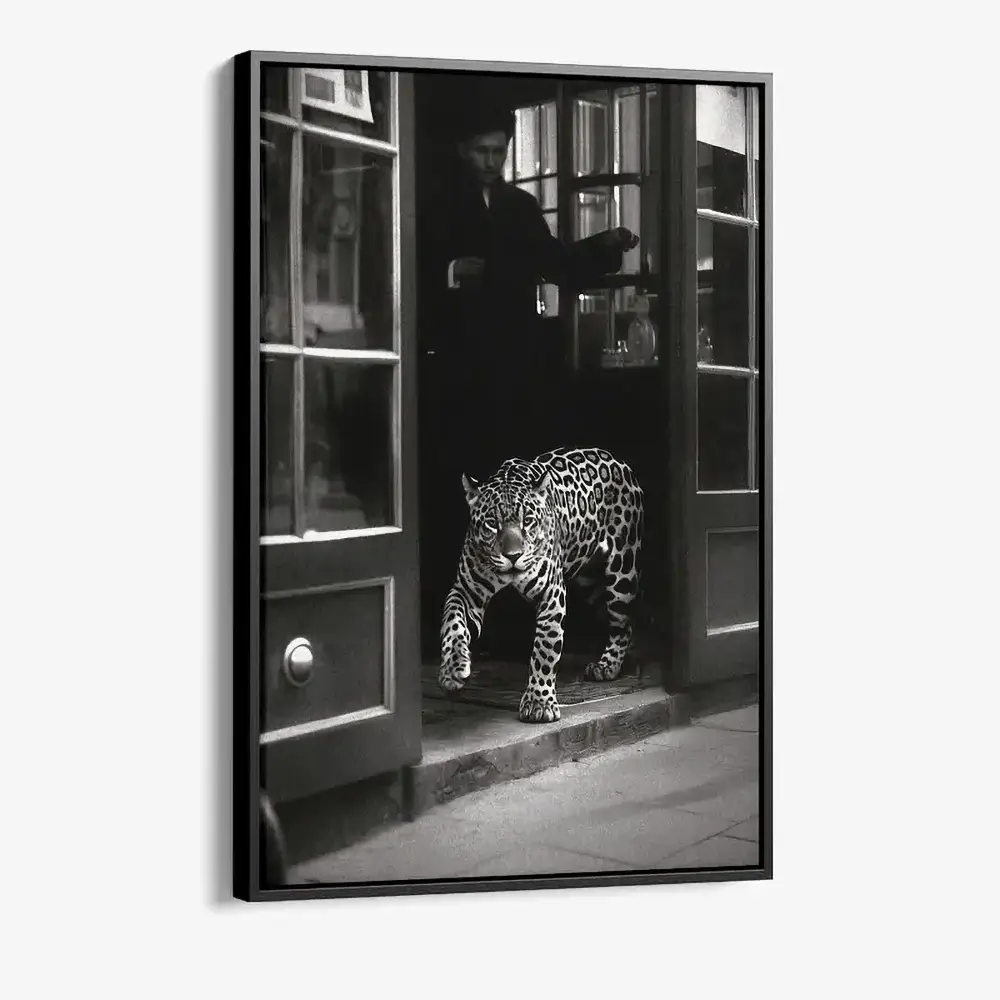 "Urban Prowl"