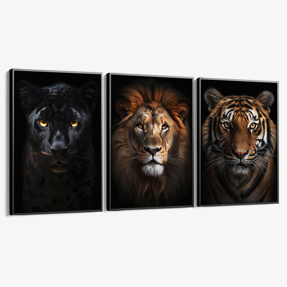 Bundel: “Big Cats” (3x)