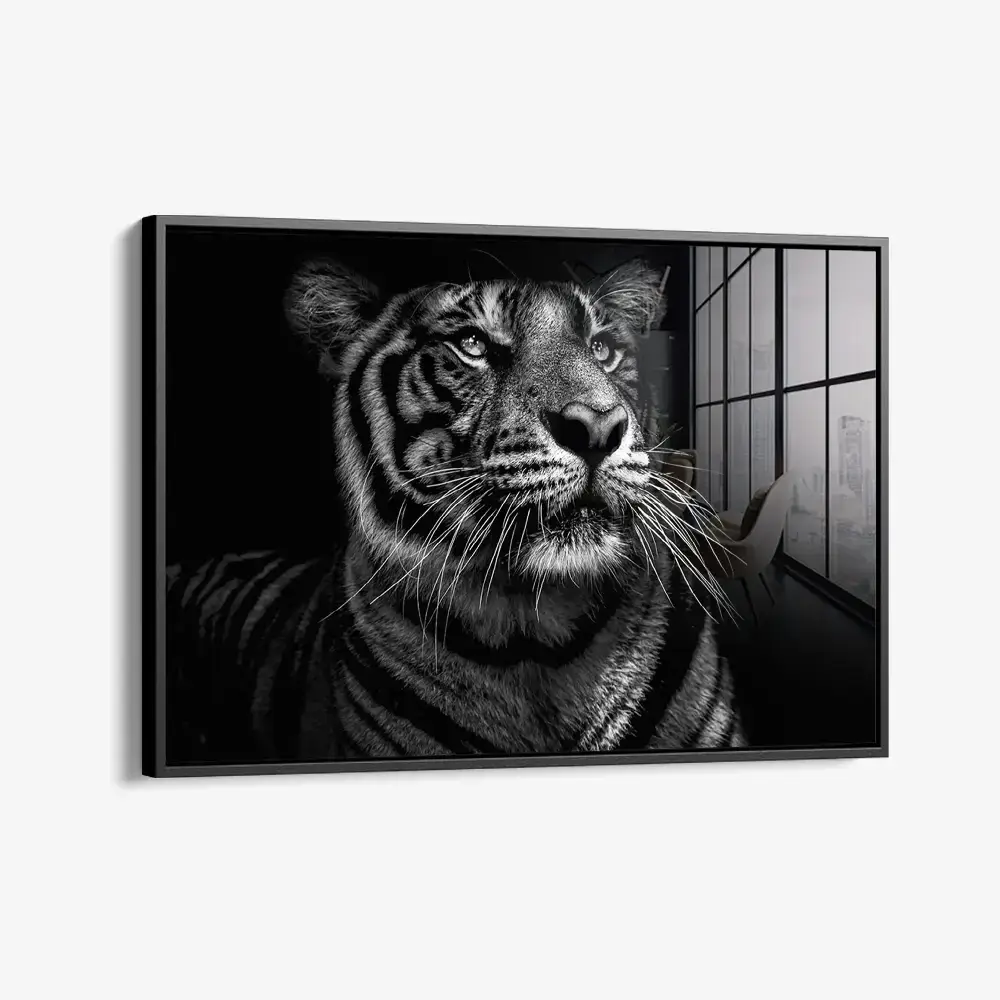 B&W Tiger – Verre