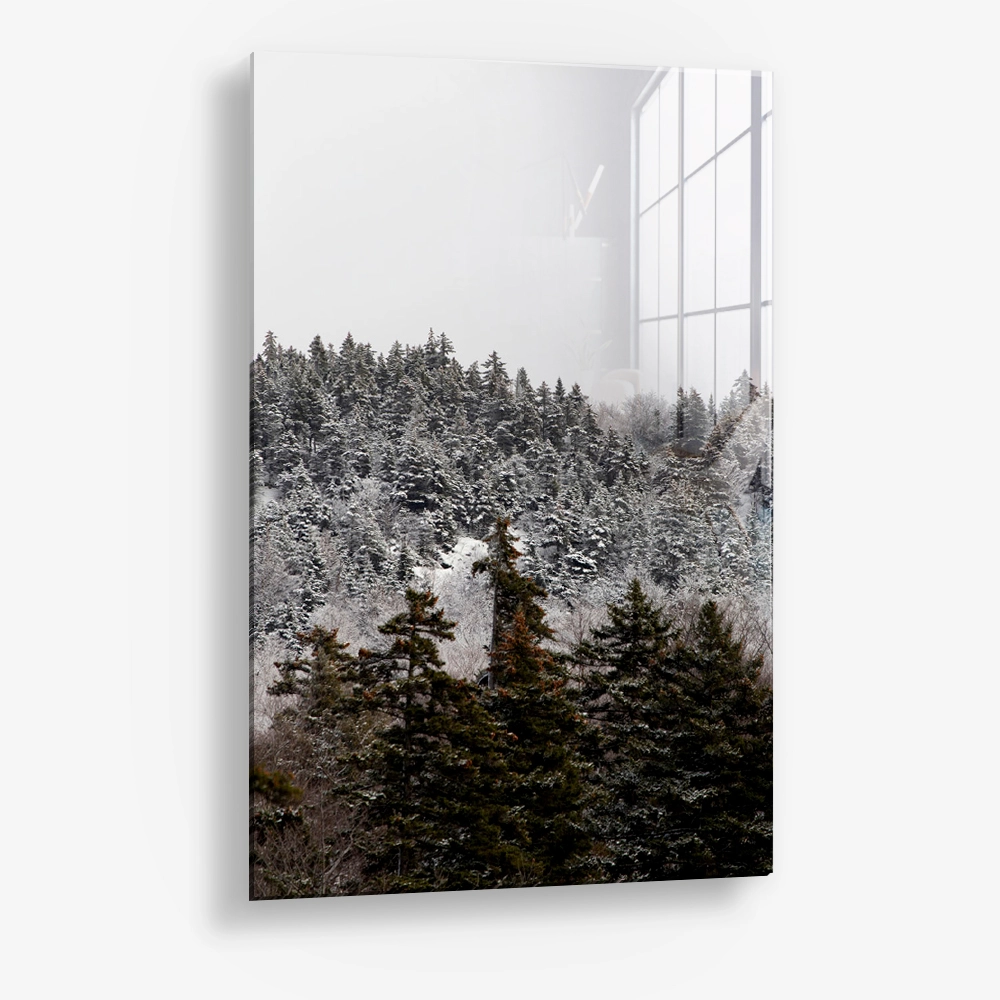 Branchmark – Verre