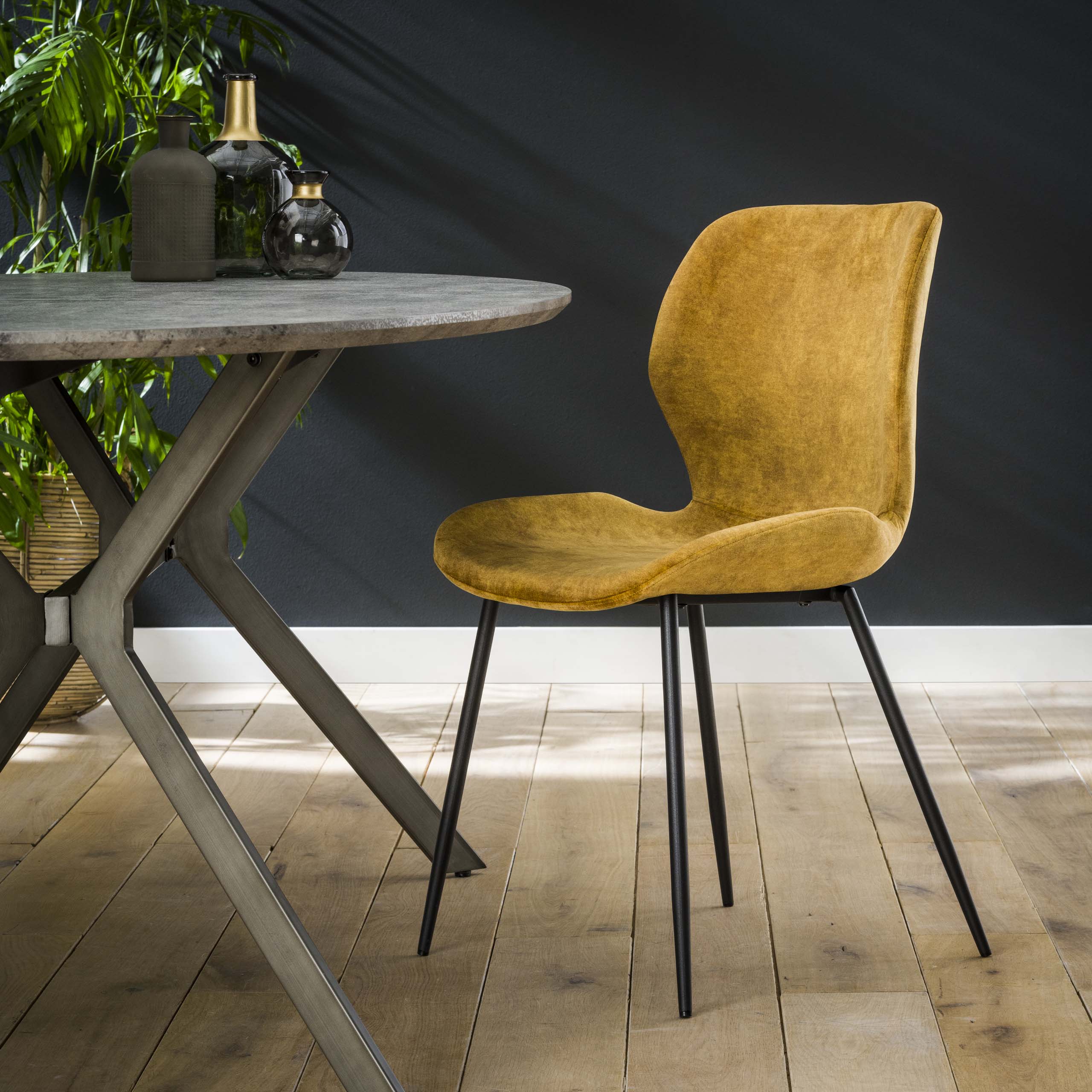 Chaise tube rond. VPE4 / Velours doré