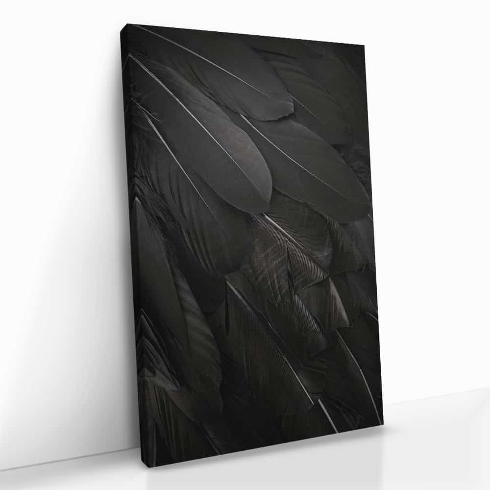 "Black Feathers"