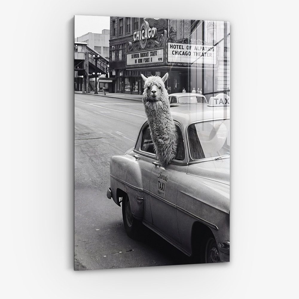 New York Lama - Verre
