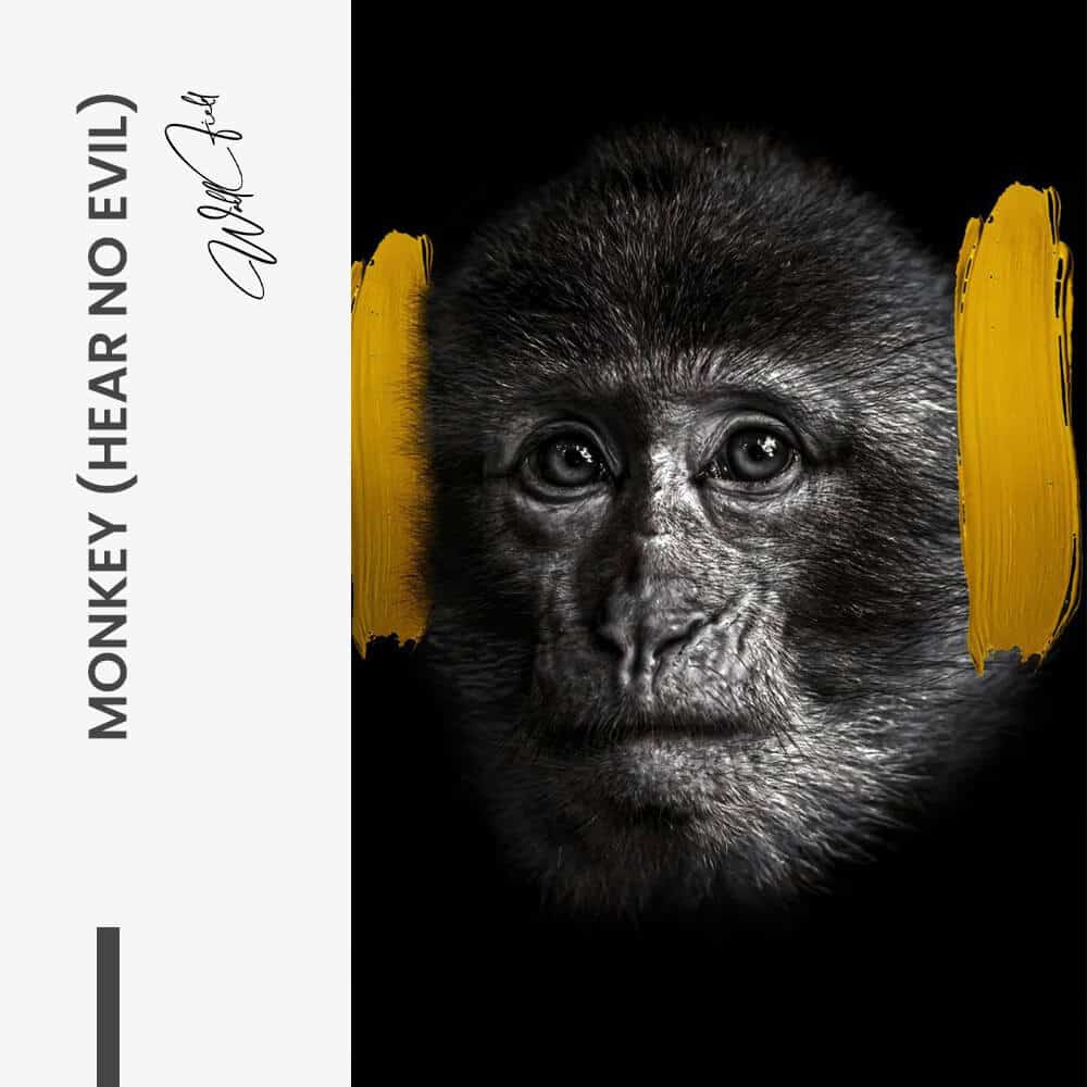 Monkey (hear no evil) - Verre