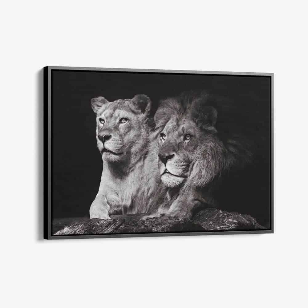 "Lion Couple"