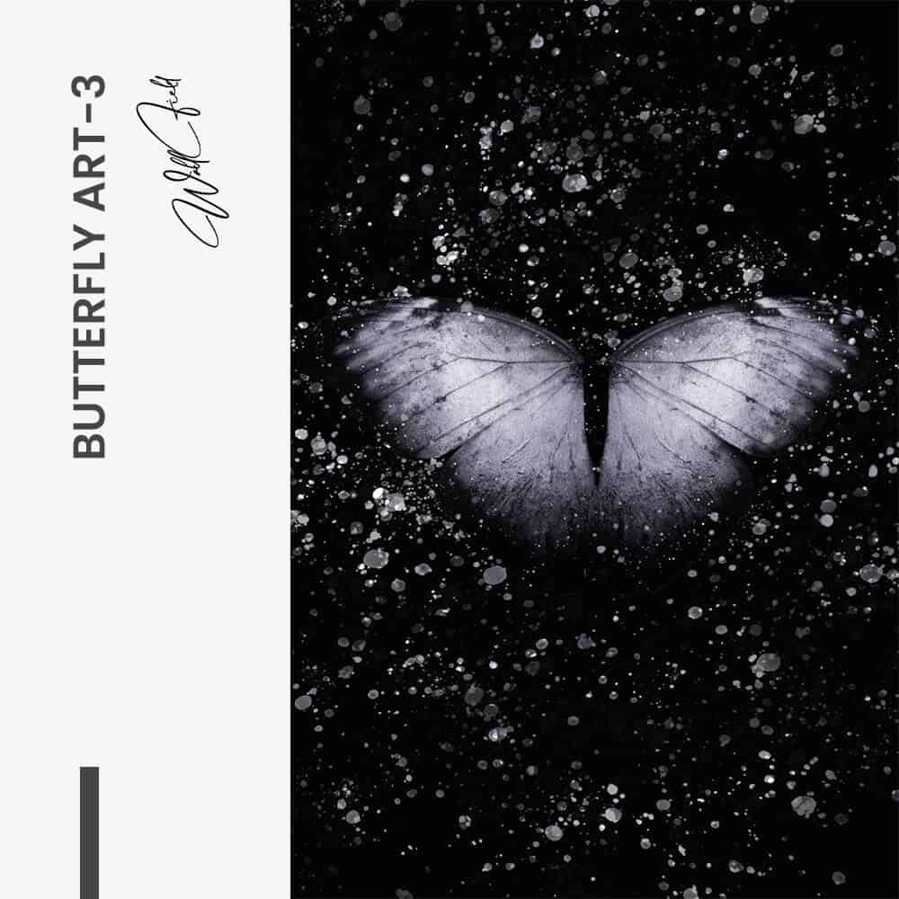 Bundle: "Butterfly Art" (3x)