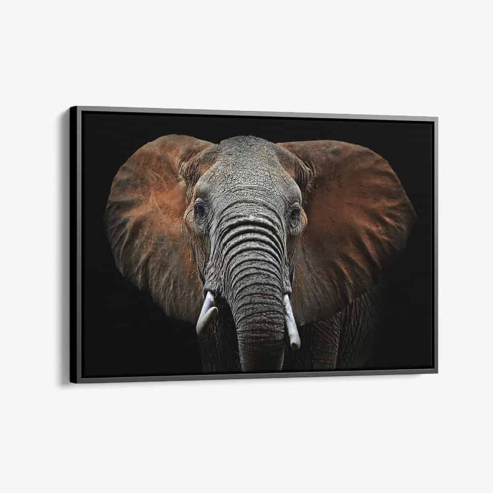 "Wild Elephant"