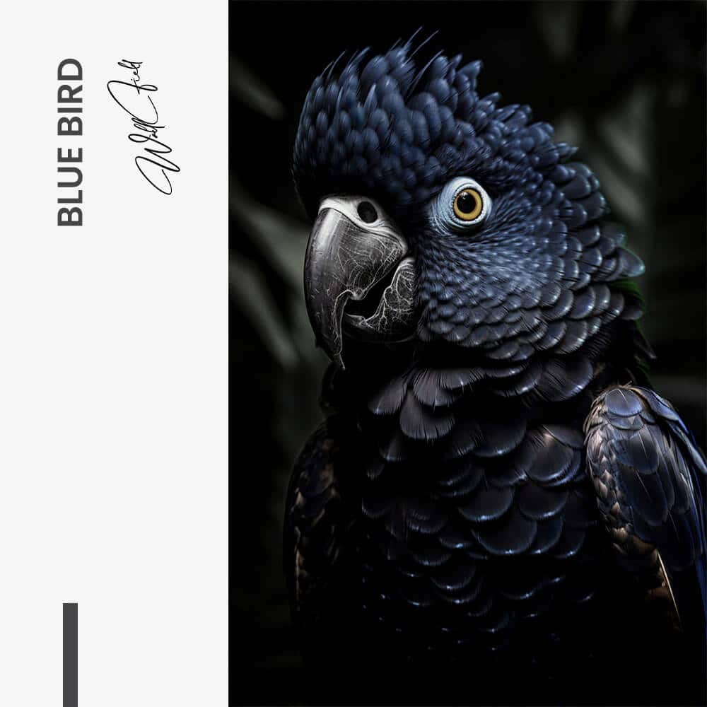 "Blue Bird"