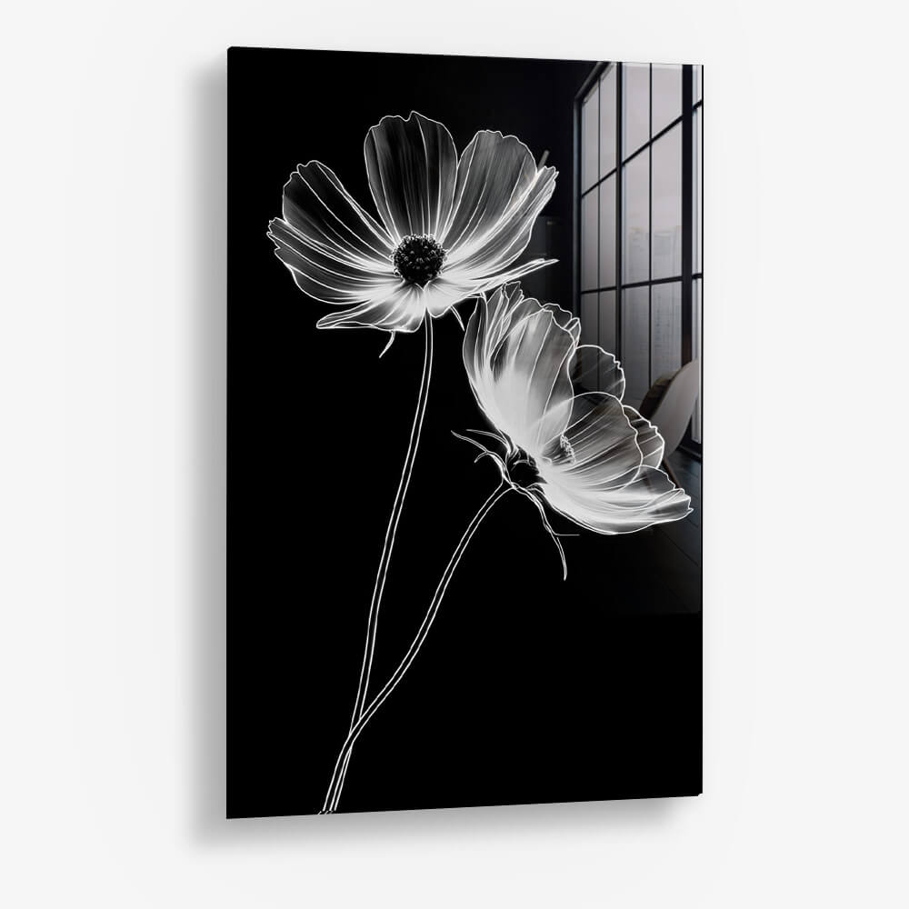 X-Ray Flowers – Verre