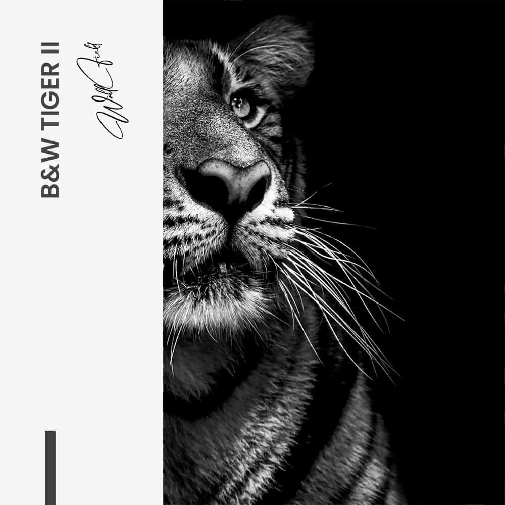 Bundle: "B&W Tiger" (2x) – Verre