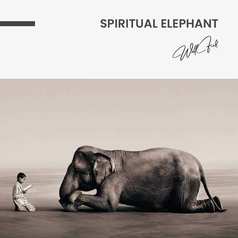 “Spiritual Elephant”
