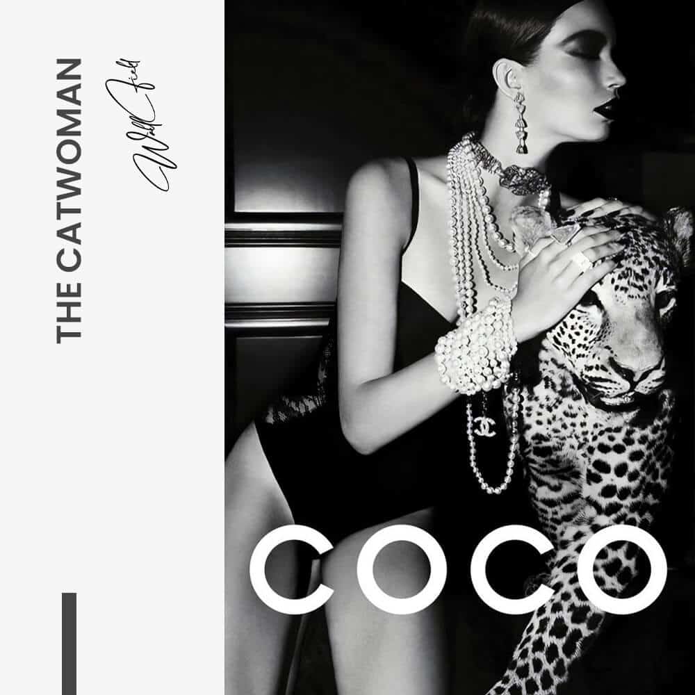 The Catwoman - Verre