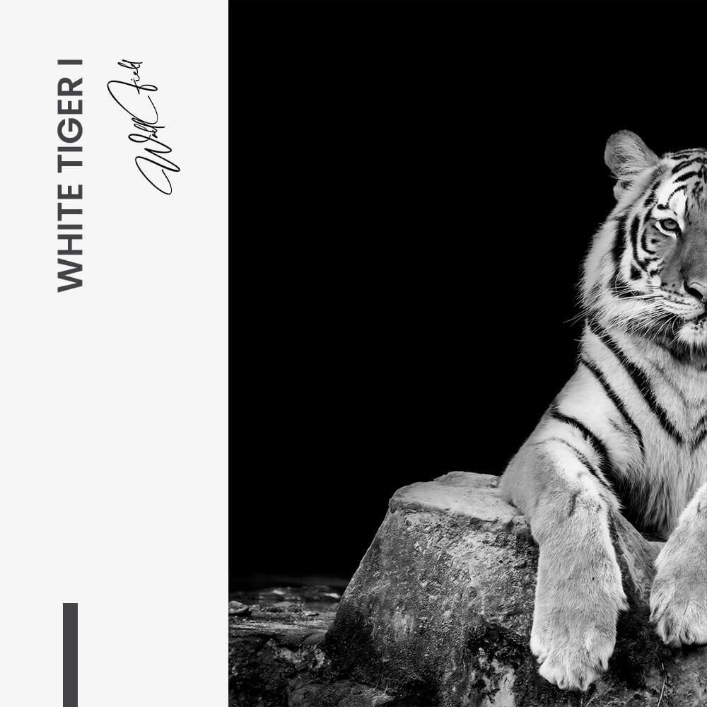 Bundle: "White Tiger" (2x) – Verre