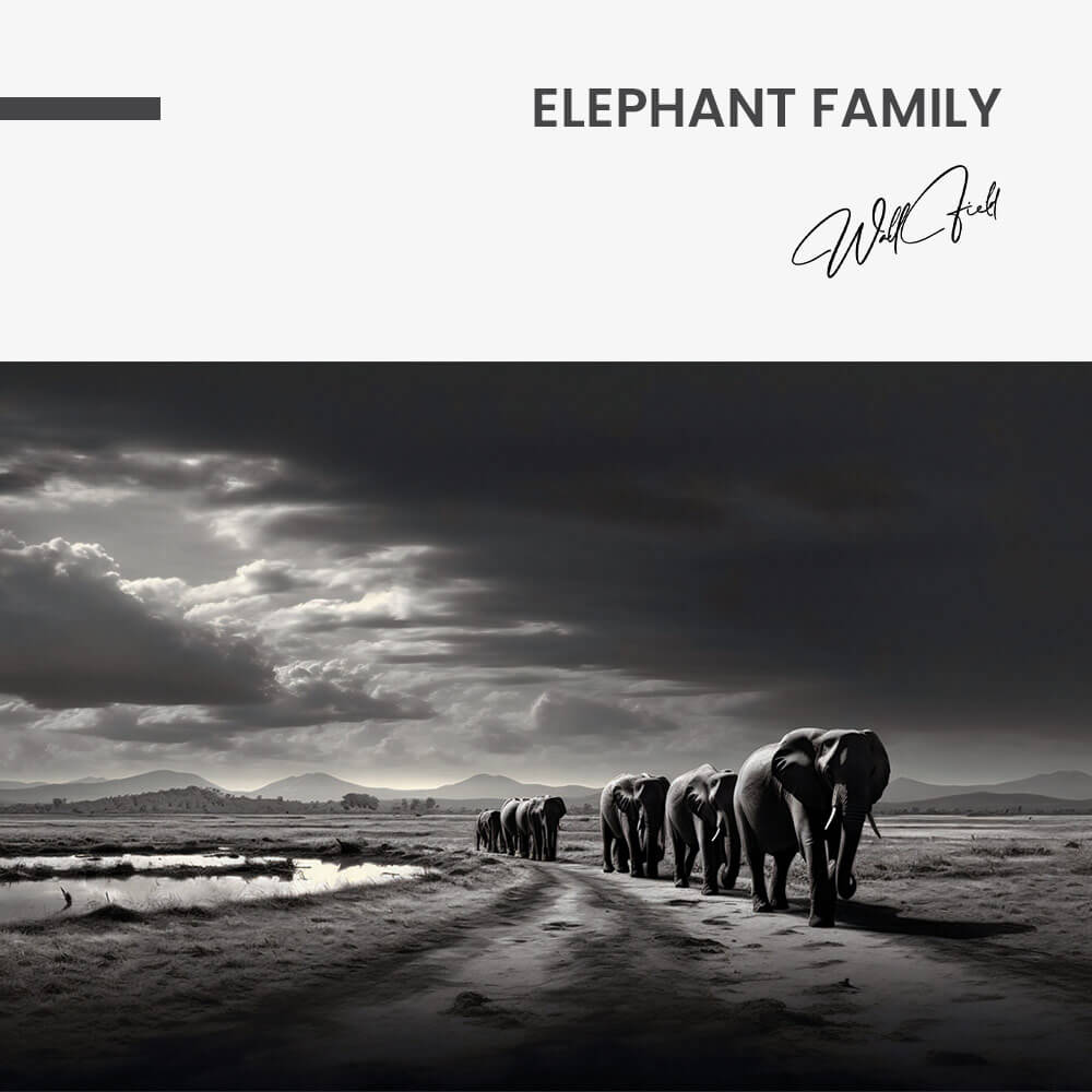 “Elephant Family”