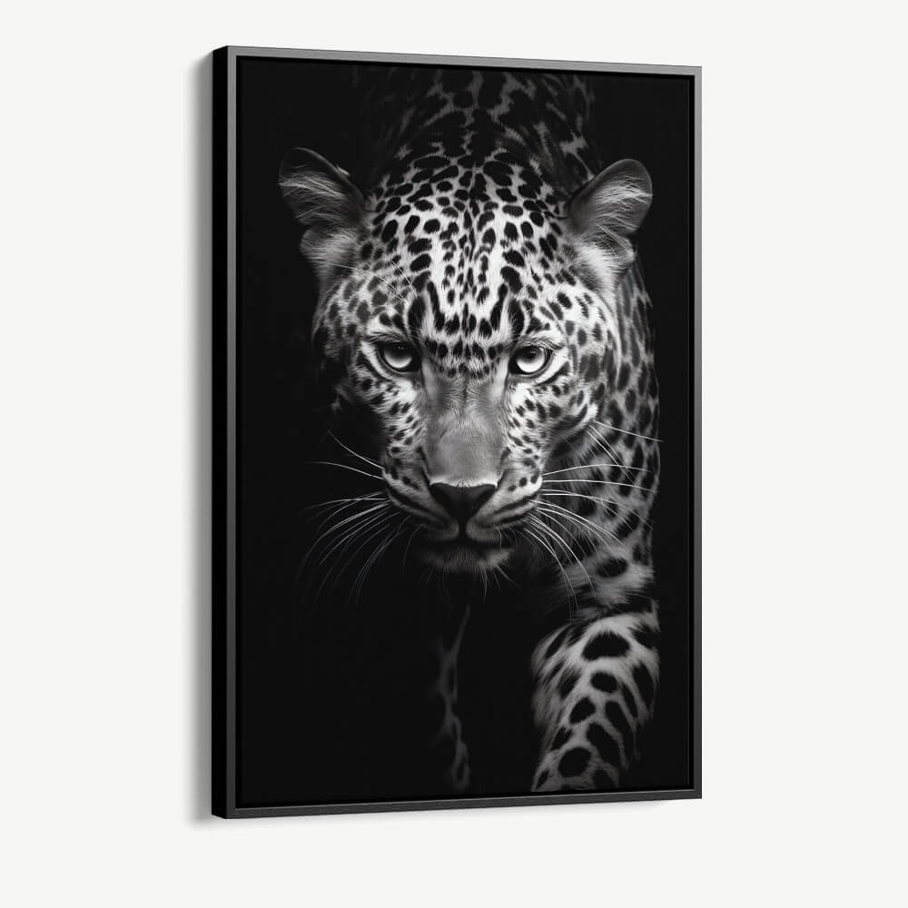 “Leopard Black II”