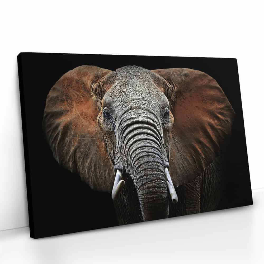 "Wild Elephant"