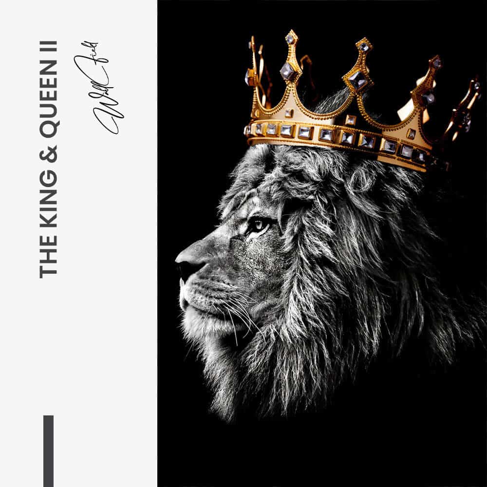 Bundle: "The King Queen" (2x) – Verre