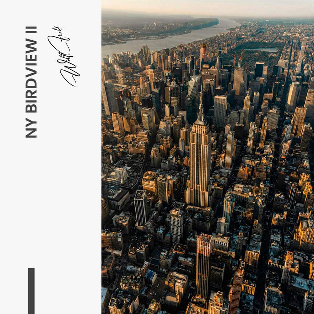 "NY Birdview II"