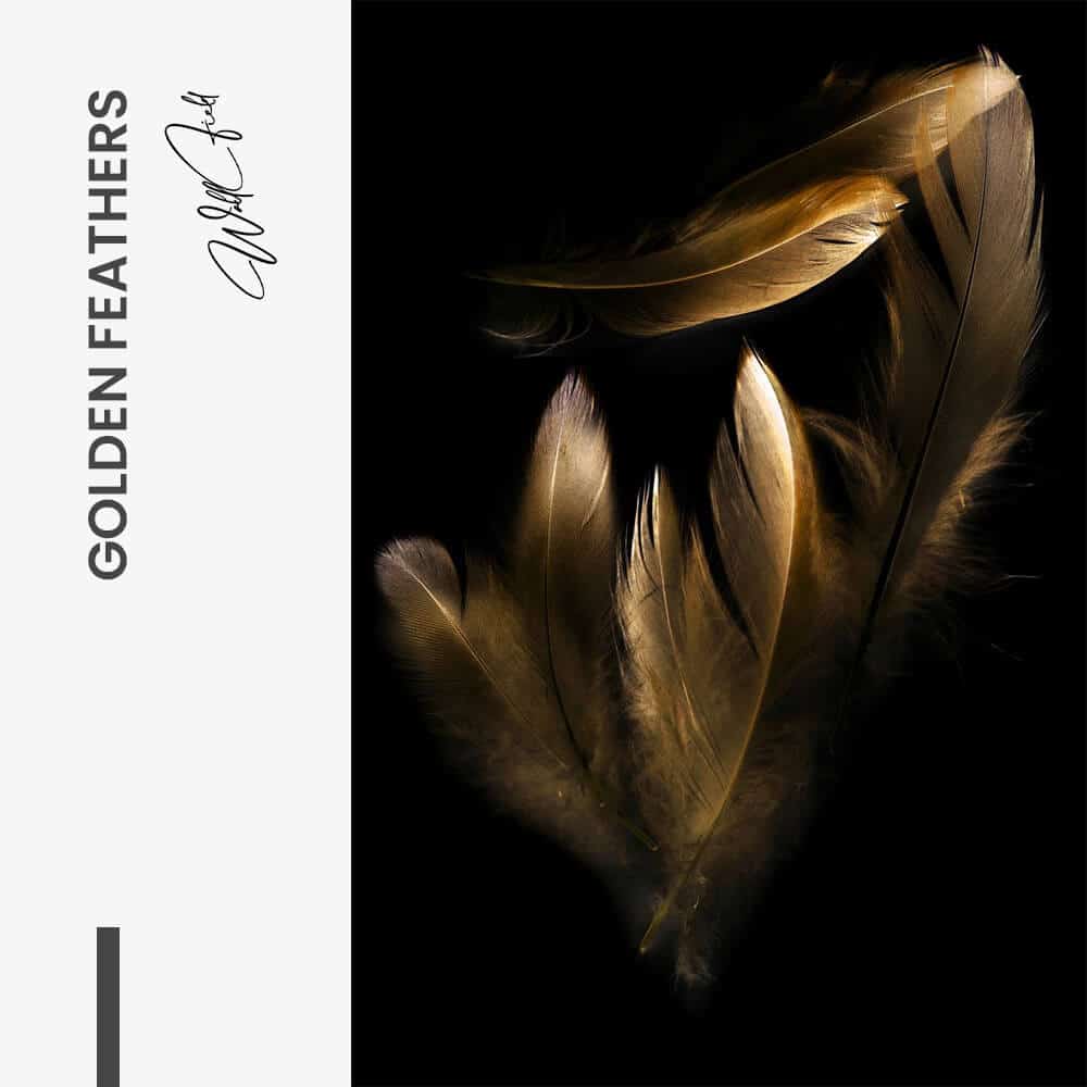 Golden Feathers - Verre