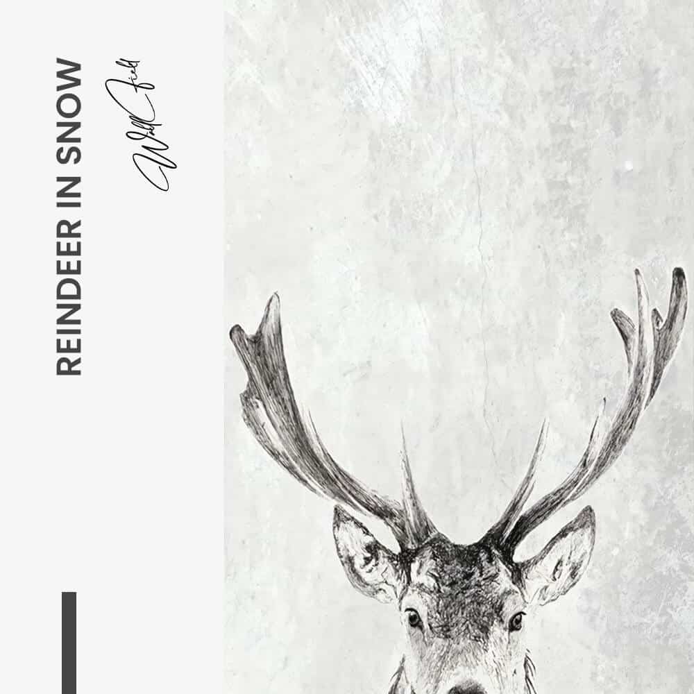 Reindeer in snow - Verre