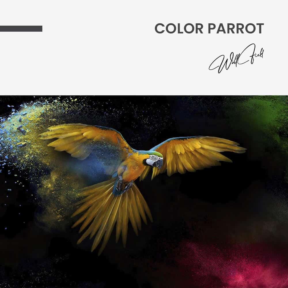 Color Parrot – Verre