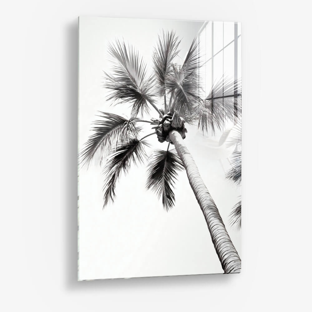 Beachy Palm - Verre