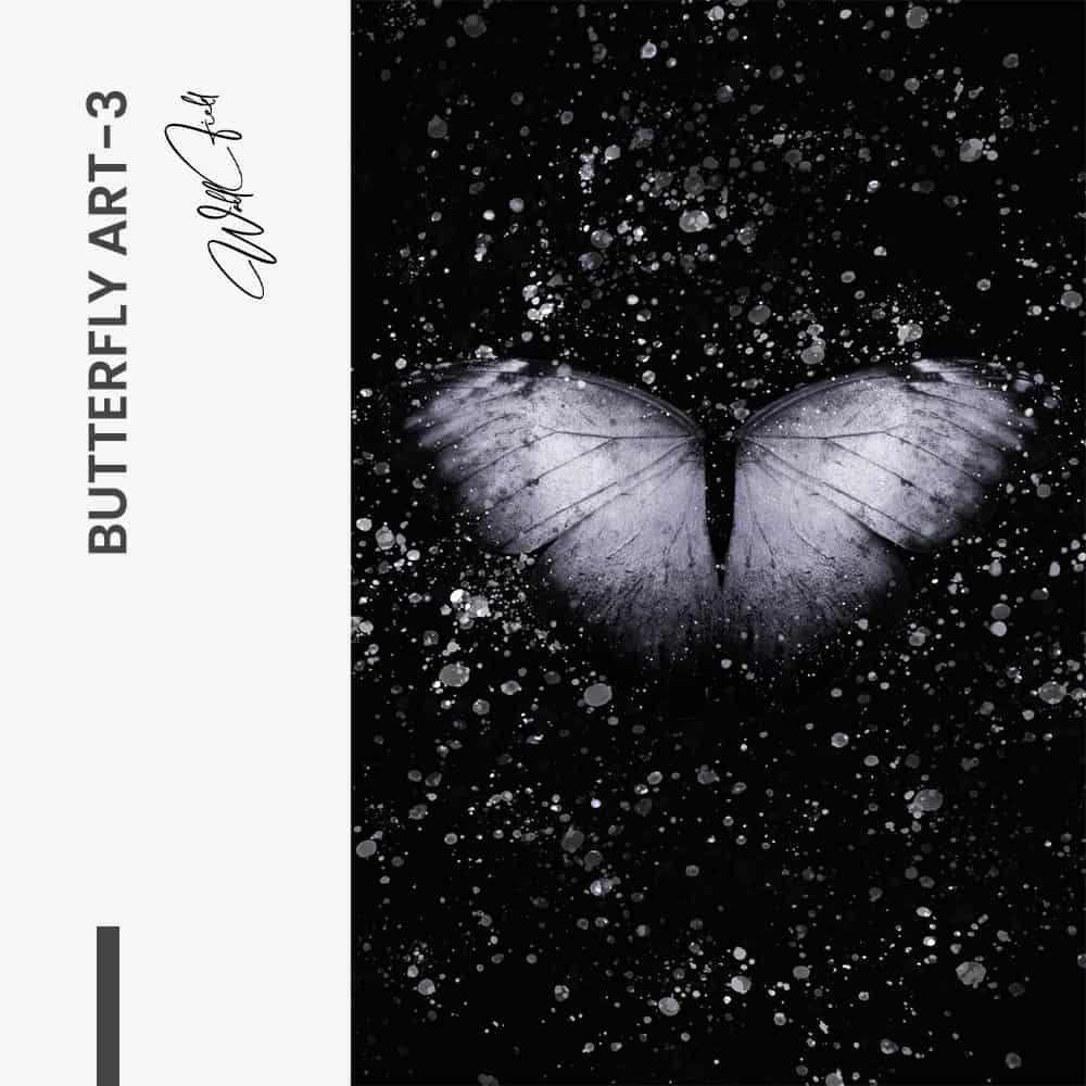 Butterfly Art I – Verre