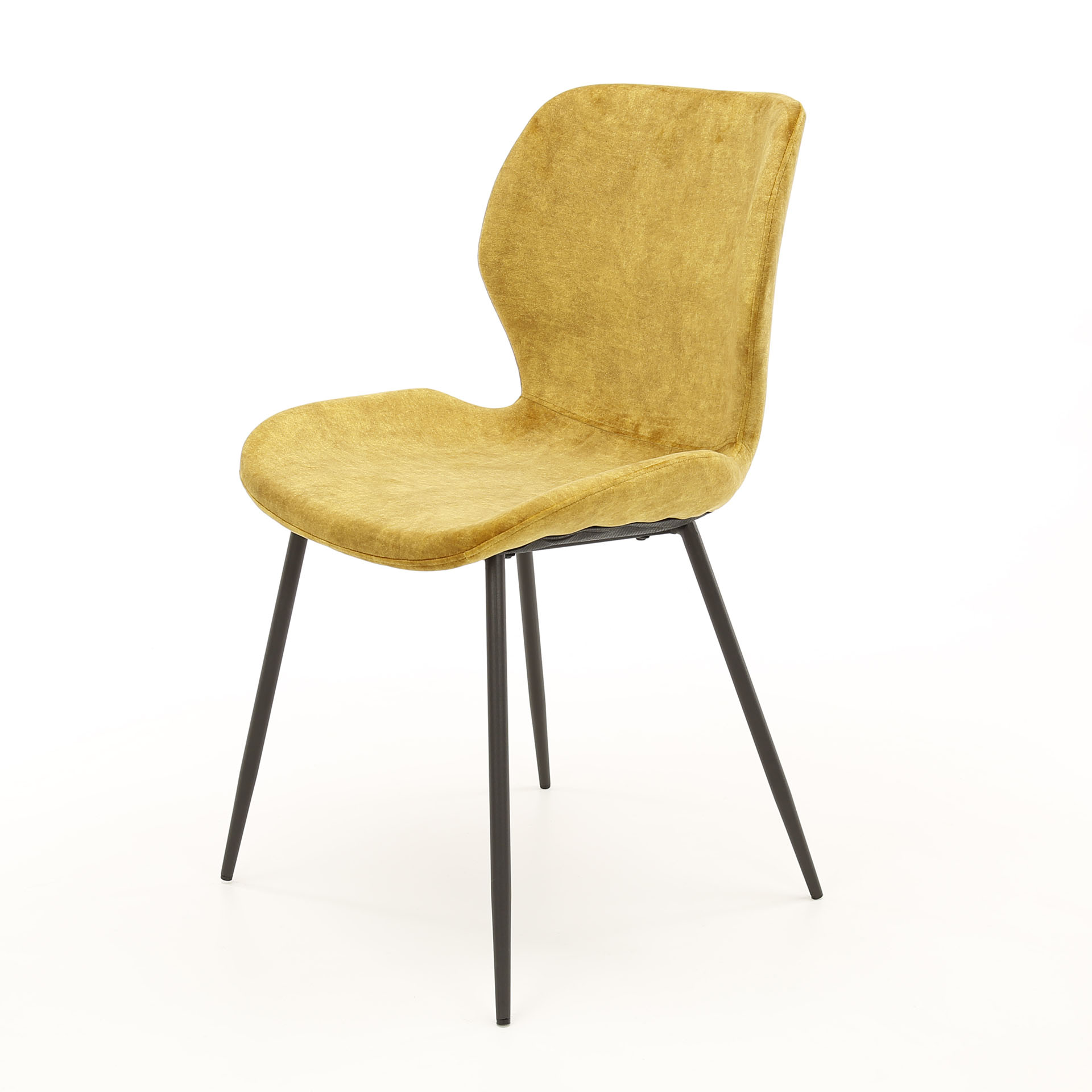 Chaise tube rond. VPE4 / Velours doré