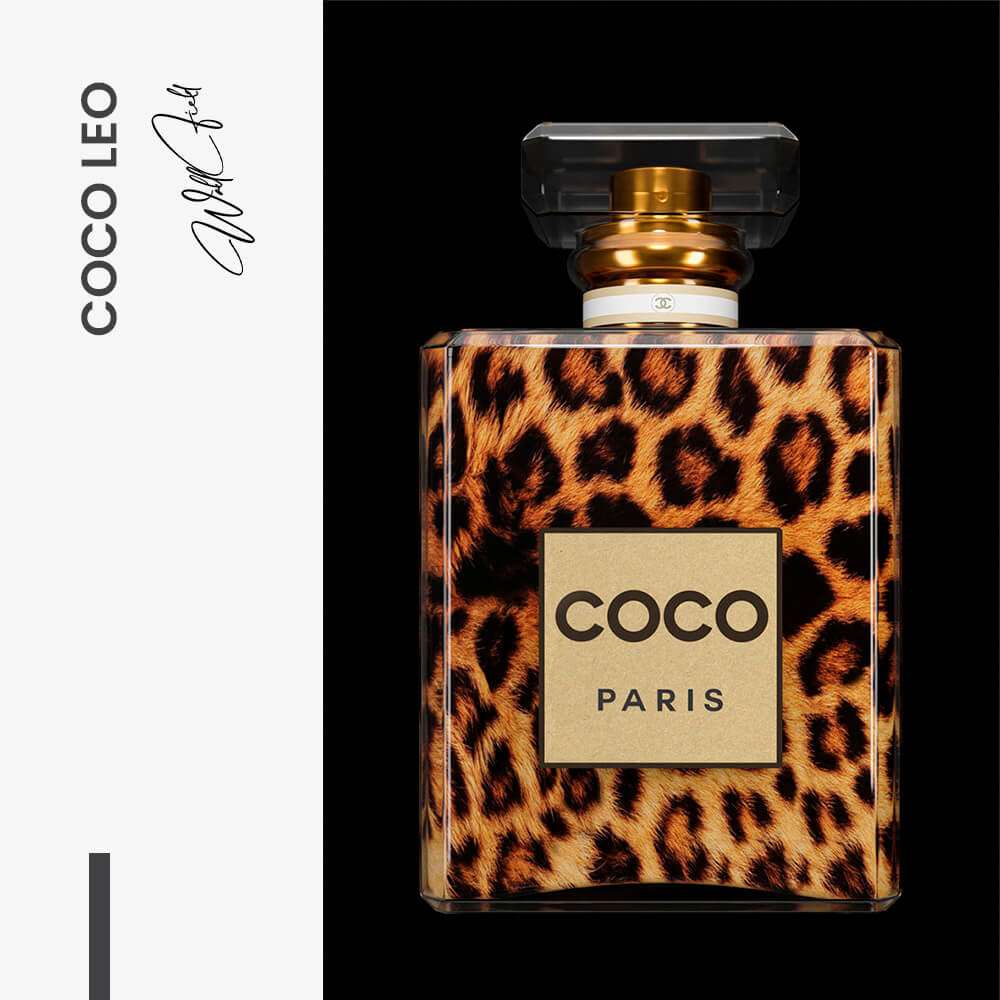 COCO Leo – Glass