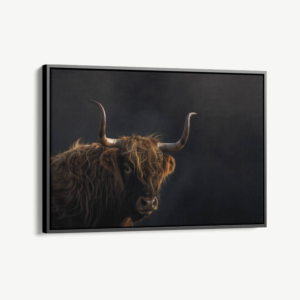 "Gazing Highlander"
