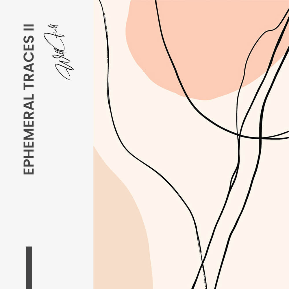 Bundle: "Ephemeral Traces" (3x)