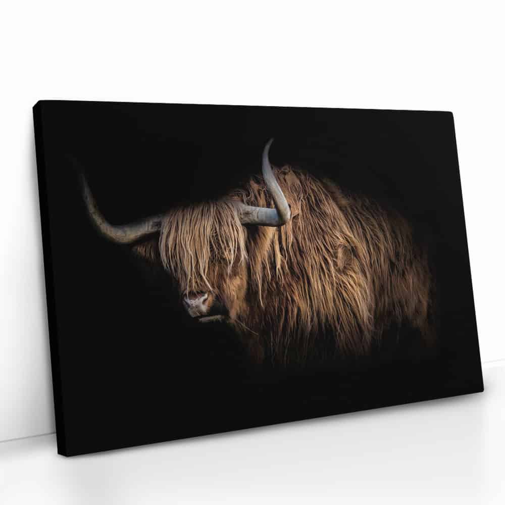 "Highlander"