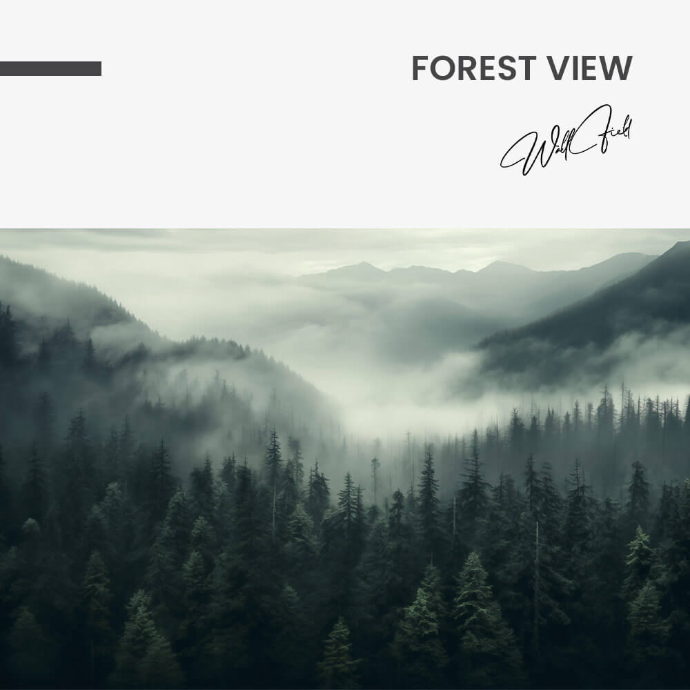 Forest View – Verre