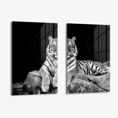 Bundle: "White Tiger" (2x) – Verre