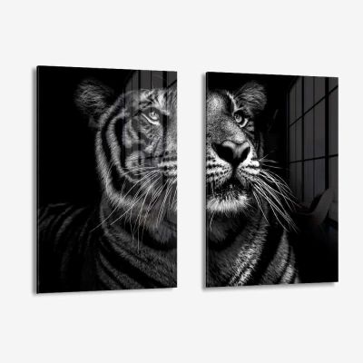 Bundle: "B&W Tiger" (2x) – Verre